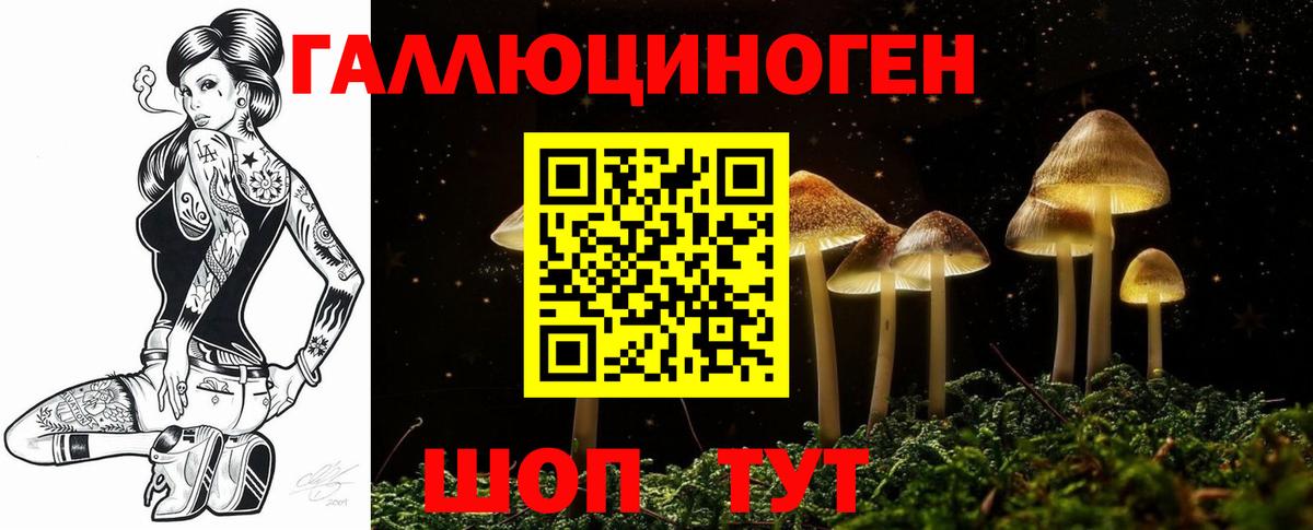 Псилоцибиновые грибы ЛСД Вятские Поляны