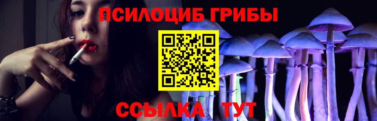 Псилоцибиновые грибы мухоморы  Галлюциногенные грибы мухоморы  Вятские Поляны  Вход с VPN 